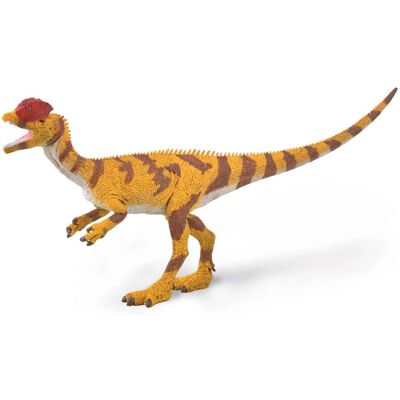 CollectA Dilophosaurus Dinosaurierfigur - Groß - Dinosaurierfigur CollectA Dilophosaurus Dinosaurierfigur - Groß - Dinosaurierfigur