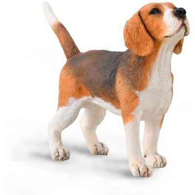 CollectA Beagle - Realistinen eläinreplika lapsille 3+ CollectA Beagle - Realistinen eläinreplika lapsille 3+