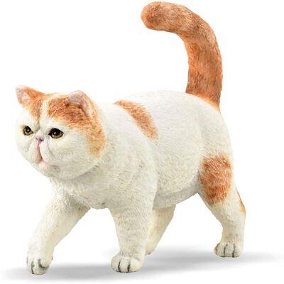Figurine Chat Exotic Shorthair CollectA Petite - Figurine Chat - Publicité Figurine Chat Exotic Shorthair CollectA Petite - Figurine Chat - Publicité