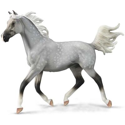 CollectA Cheval de Pur-sang Arabe Demi-Jument Jouet - Publicité CollectA Cheval de Pur-sang Arabe Demi-Jument Jouet - Publicité