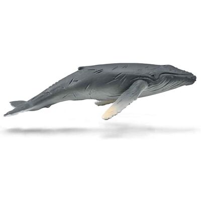Réplique de jeune baleine à bosse CollectA - Figurine marine - Publicité Réplique de jeune baleine à bosse CollectA - Figurine marine - Publicité