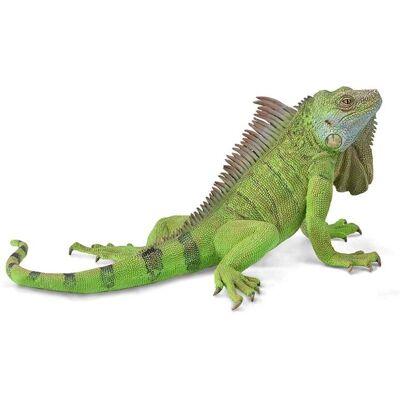 CollectA Realistische Echse Nachbildung Extra Groß – Tierart CollectA Realistische Echse Nachbildung Extra Groß – Tierart