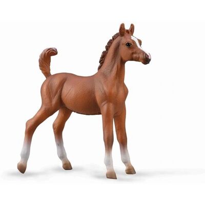 Figurine d'action CollectA Poulain Arabe Chestnut - Figurine d'action - Publicité Figurine d'action CollectA Poulain Arabe Chestnut - Figurine d'action - Publicité