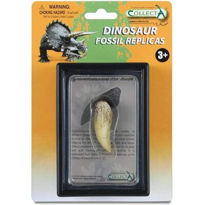 CollectA T-Rex Dinosaurier Fossilien Replik - Für Kinder 3+ CollectA T-Rex Dinosaurier Fossilien Replik - Für Kinder 3+