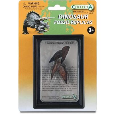 Collecta Dinosaurus Tand: Dierfiguur Collecta Dinosaurus Tand: Dierfiguur