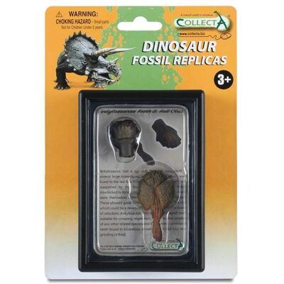 Ensemble dents et queues d'Ankylosaurus de CollectA - Jouet éducatif - Publicité Ensemble dents et queues d'Ankylosaurus de CollectA - Jouet éducatif - Publicité