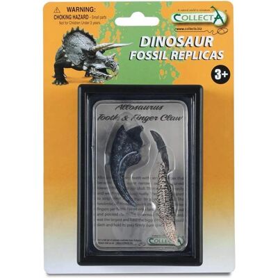 CollectA Allosaurus Fossiel Tanden Kloof Set CollectA Allosaurus Fossiel Tanden Kloof Set