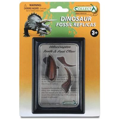 CollectA Velociraptor Zahn- und Klaue-Set - Lehrreiches Dino-Replikat CollectA Velociraptor Zahn- und Klaue-Set - Lehrreiches Dino-Replikat