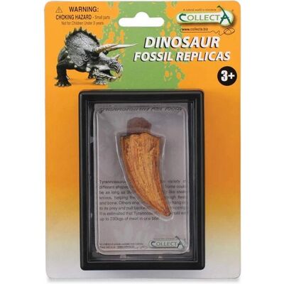 Réplique de fossile de T-Rex de CollectA - Jouet dinosaure pour enfants 3+ - Publicité Réplique de fossile de T-Rex de CollectA - Jouet dinosaure pour enfants 3+ - Publicité