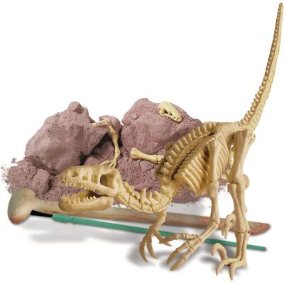 DAM 5613234 Excavation de fossiles de dinosaures pour enfants - Jouet scientifique DAM 5613234 Excavation de fossiles de dinosaures pour enfants - Jouet scientifique
