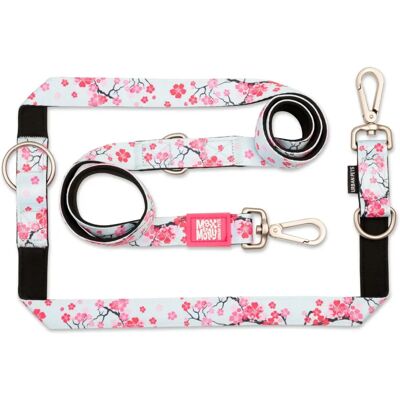 Max & Molly Cherry Bloom Hundeleine - Verstellbar, Robust, Multifunktional Max & Molly Cherry Bloom Hundeleine - Verstellbar, Robust, Multifunktional