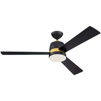 Ventilateur de plafond Westinghouse Lighting Tristan - Noir Mat Ventilateur de plafond Westinghouse Lighting Tristan - Noir Mat