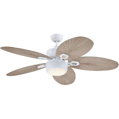 Westinghouse Weiße Oasis Außen-Deckenventilator - Deckenventilator Westinghouse Weiße Oasis Außen-Deckenventilator - Deckenventilator
