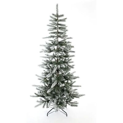 Evergreen Kiefer Frost 210 cm - Weihnachtsbaum Evergreen Kiefer Frost 210 cm - Weihnachtsbaum
