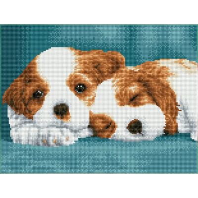 Diamond Dotz Little Champs - Diamant-Mosaikstickerei Diamond Dotz Little Champs - Diamant-Mosaikstickerei