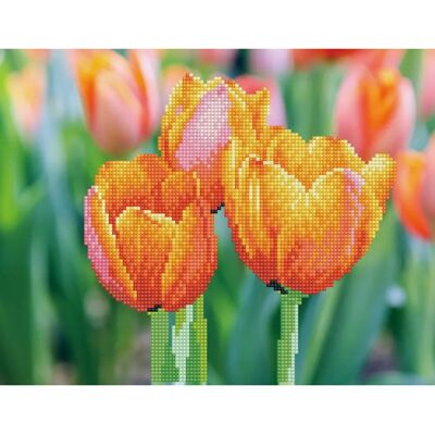 Diamond Dotz Love Tulips - Diamond Dotz Diamond Dotz Love Tulips - Diamond Dotz