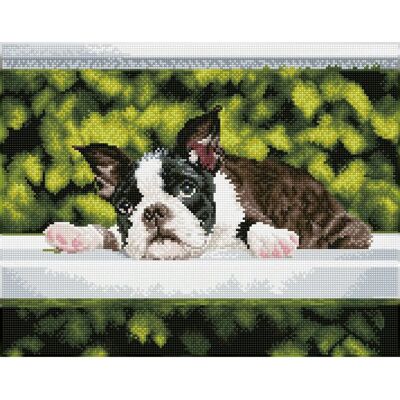 Diamond Dotz Boston Blues - Quadrat Diamond Painting Set Diamond Dotz Boston Blues - Quadrat Diamond Painting Set