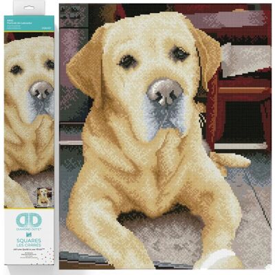 Diamond Dotz Labrador King 48x58cm - Diamond Painting Set für Fortgeschrittene Diamond Dotz Labrador King 48x58cm - Diamond Painting Set für Fortgeschrittene