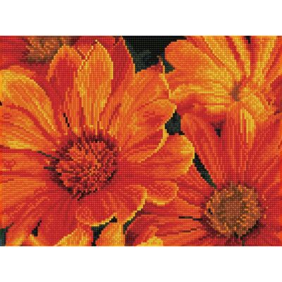 Diamond Dotz Carletto Deutschland - Diamond Painting Set - Spezial 13 Facettenschliff Diamond Dotz Carletto Deutschland - Diamond Painting Set - Spezial 13 Facettenschliff