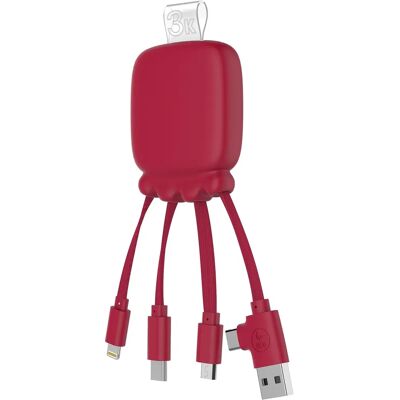 Câble de Batterie XOOPAR Gamma - Chargeur Portable Multi-variant - Publicité Câble de Batterie XOOPAR Gamma - Chargeur Portable Multi-variant - Publicité