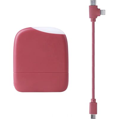 Xoopar Powerbank 5000 mAh Multi Ice-P - Powerbank Xoopar Powerbank 5000 mAh Multi Ice-P - Powerbank
