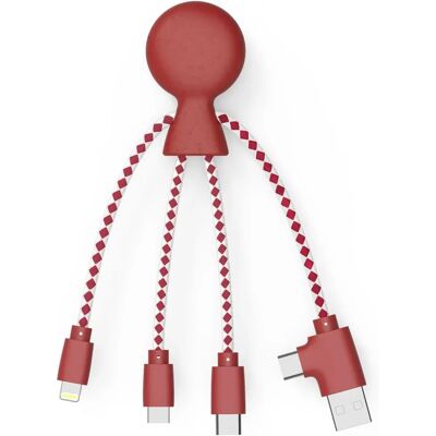 XOOPAR Multi-kabel - Compatibel met smartphones, draadloze oortjes, GoPro XOOPAR Multi-kabel - Compatibel met smartphones, draadloze oortjes, GoPro
