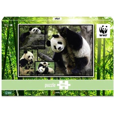 Carletto Deutschland GmbH Ambassador - Pandas 1000 Teile - Puzzle Carletto Deutschland GmbH Ambassador - Pandas 1000 Teile - Puzzle
