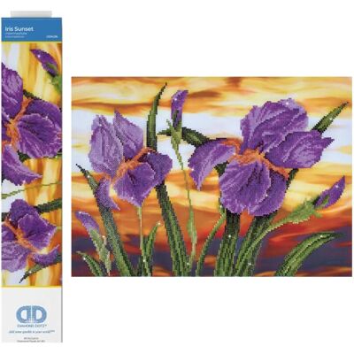 Diamond Dotz Sunset Iris - 52x37 cm - Gevorderd diamond painting pakket - irissen & zonsondergang Diamond Dotz Sunset Iris - 52x37 cm - Gevorderd diamond painting pakket - irissen & zonsondergang