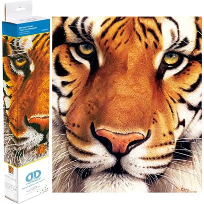 Diamond Dotz Bengal Løve - Kit de Peinture Diamants pour Avancés Diamond Dotz Bengal Løve - Kit de Peinture Diamants pour Avancés