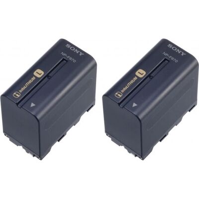 Batterie d'appareil photo Lithium-Ion Sony 2NP-F970/B - Batterie d'appareil photo Batterie d'appareil photo Lithium-Ion Sony 2NP-F970/B - Batterie d'appareil photo