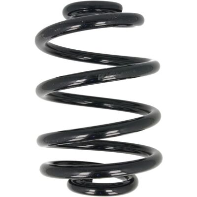 KYB RX5049 Fahrwerksfeder - Hinterachse KYB RX5049 Fahrwerksfeder - Hinterachse