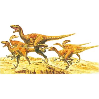 Tamiya Velociraptor 6 Corps - Kit Modèle en Plastique - Série Monde des Dinosaures Tamiya Velociraptor 6 Corps - Kit Modèle en Plastique - Série Monde des Dinosaures
