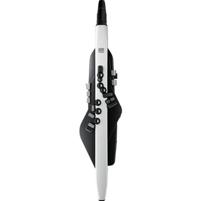 Roland Aerophone AE-20 Premium Digitalbläser Roland Aerophone AE-20 Premium Digitalbläser