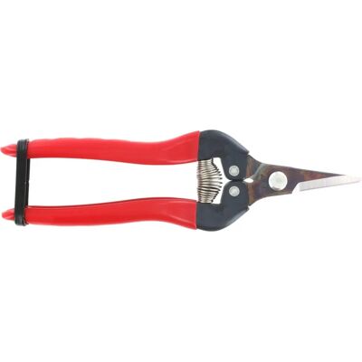 ARS Red Fruit Scissors - High-Carbon Steel Blades - 17cm - Pruning Scissors ARS Red Fruit Scissors - High-Carbon Steel Blades - 17cm - Pruning Scissors