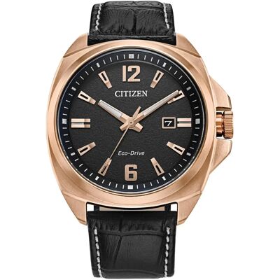 Citizen Endicott AW1723-02E Citizen Endicott AW1723-02E