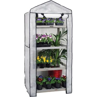 VegTrug Cedar Greenhouse - Tall Covered Nursery, FSC VegTrug Cedar Greenhouse - Tall Covered Nursery, FSC