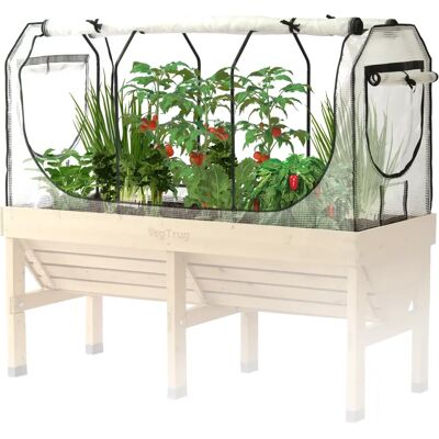 VegTrug Medium 183cm Greenhouse Frame & Cover Set VegTrug Medium 183cm Greenhouse Frame & Cover Set