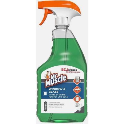 Mr Muscle 316533 Glass Cleaner - Streak-Free 750ml Mr Muscle 316533 Glass Cleaner - Streak-Free 750ml