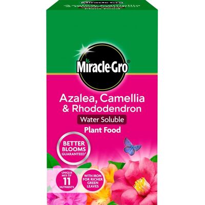 Miracle-Gro Azalea Camellia Rhododendron Plant Food - 1kg, Pack 12 Miracle-Gro Azalea Camellia Rhododendron Plant Food - 1kg, Pack 12
