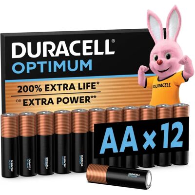 Duracell Duracell MX1500 Batterie Alcaline AA - Confezione da 12 Duracell Duracell MX1500 Batterie Alcaline AA - Confezione da 12