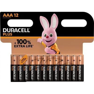 Piles Duracell Plus AAA - Puissance Durable - Publicité Piles Duracell Plus AAA - Puissance Durable - Publicité