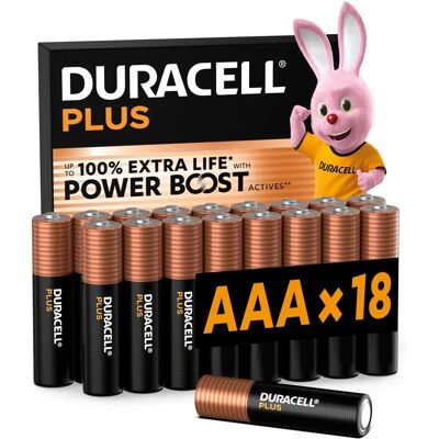 Pile AAA Duracell - Energia Affidabile per Dispositivi Pile AAA Duracell - Energia Affidabile per Dispositivi