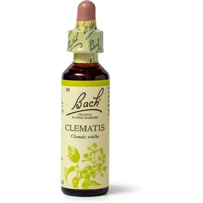 Bach Oryginalne Esencje Kwiatowe Clematis 20ml - Esencja Kwiatowa Bach Oryginalne Esencje Kwiatowe Clematis 20ml - Esencja Kwiatowa