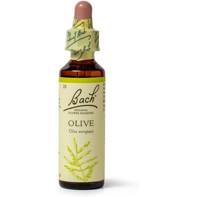 Bach Olivenblüte - Emotionale Unterstützung - 20ml Bach Olivenblüte - Emotionale Unterstützung - 20ml