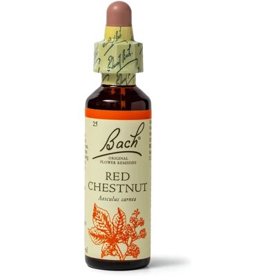 Bach Original Flower Remedies Roter Kastanie - Emotionales Wohlbefinden Bach Original Flower Remedies Roter Kastanie - Emotionales Wohlbefinden