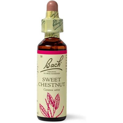 Bach Bach Original Flower Remedies Süßer Kastanien - Blütenmittel Bach Bach Original Flower Remedies Süßer Kastanien - Blütenmittel
