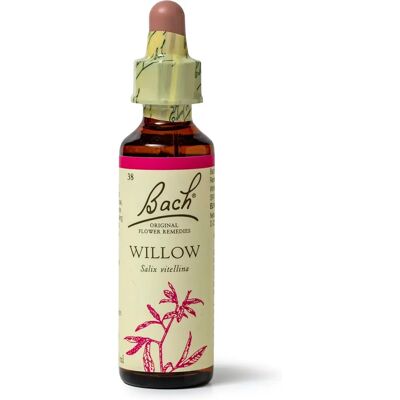 Bach Willow Blütenelixier 20ml - Blütenelixier Bach Willow Blütenelixier 20ml - Blütenelixier