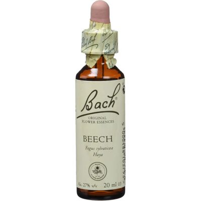 Bach Buchen 20 ml - Blütenessenz für Toleranz & Wohlbefinden Bach Buchen 20 ml - Blütenessenz für Toleranz & Wohlbefinden