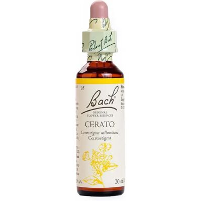 Bach Flowers Cerato 20 ml - Elixir floral para confiança Bach Flowers Cerato 20 ml - Elixir floral para confiança