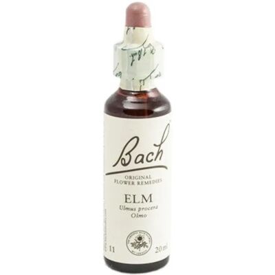Fleurs Bach Elm - Élixir floral 20ml - Type de fleur Fleurs Bach Elm - Élixir floral 20ml - Type de fleur